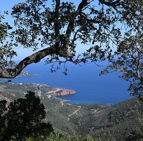 vos photos souvenirs passion Esterel