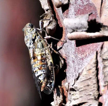 vos photos souvenirs passion Esterel