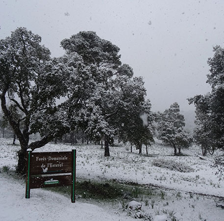 vos photos souvenirs passion Esterel